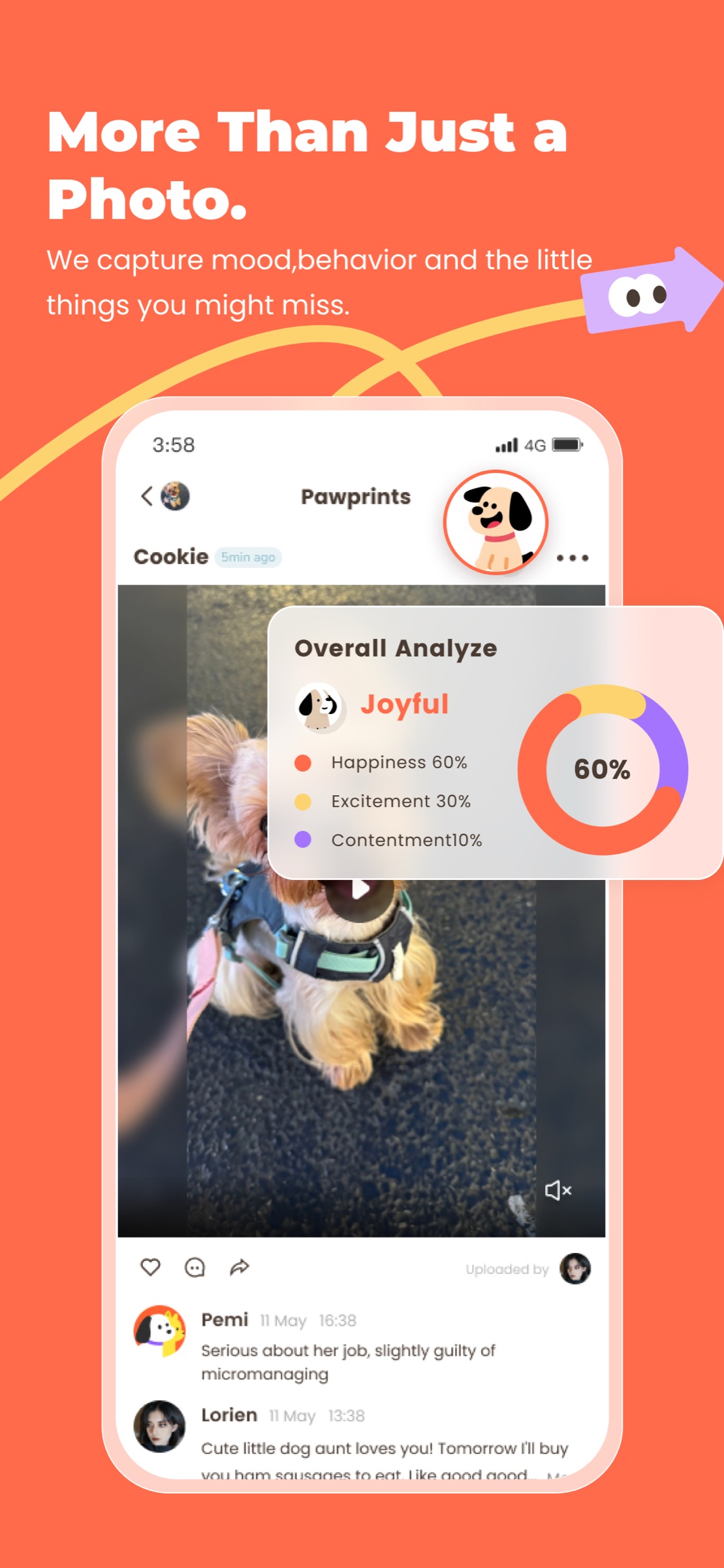 Pemi analysis result showing a generated observation and Joyful emotion breakdown for a pet photo