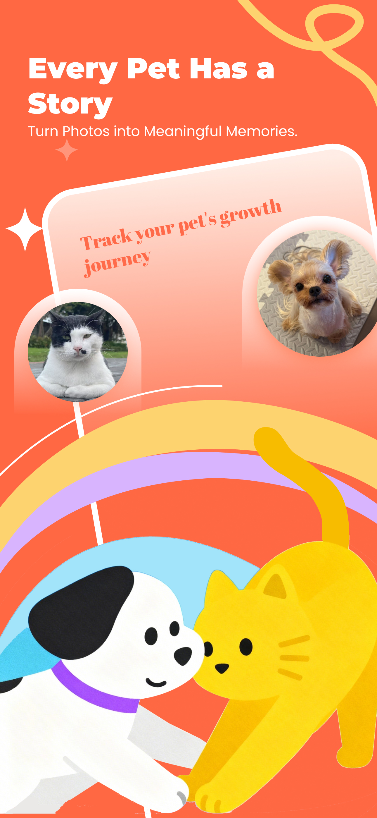 Pemi dog and cat characters sharing a playful moment
