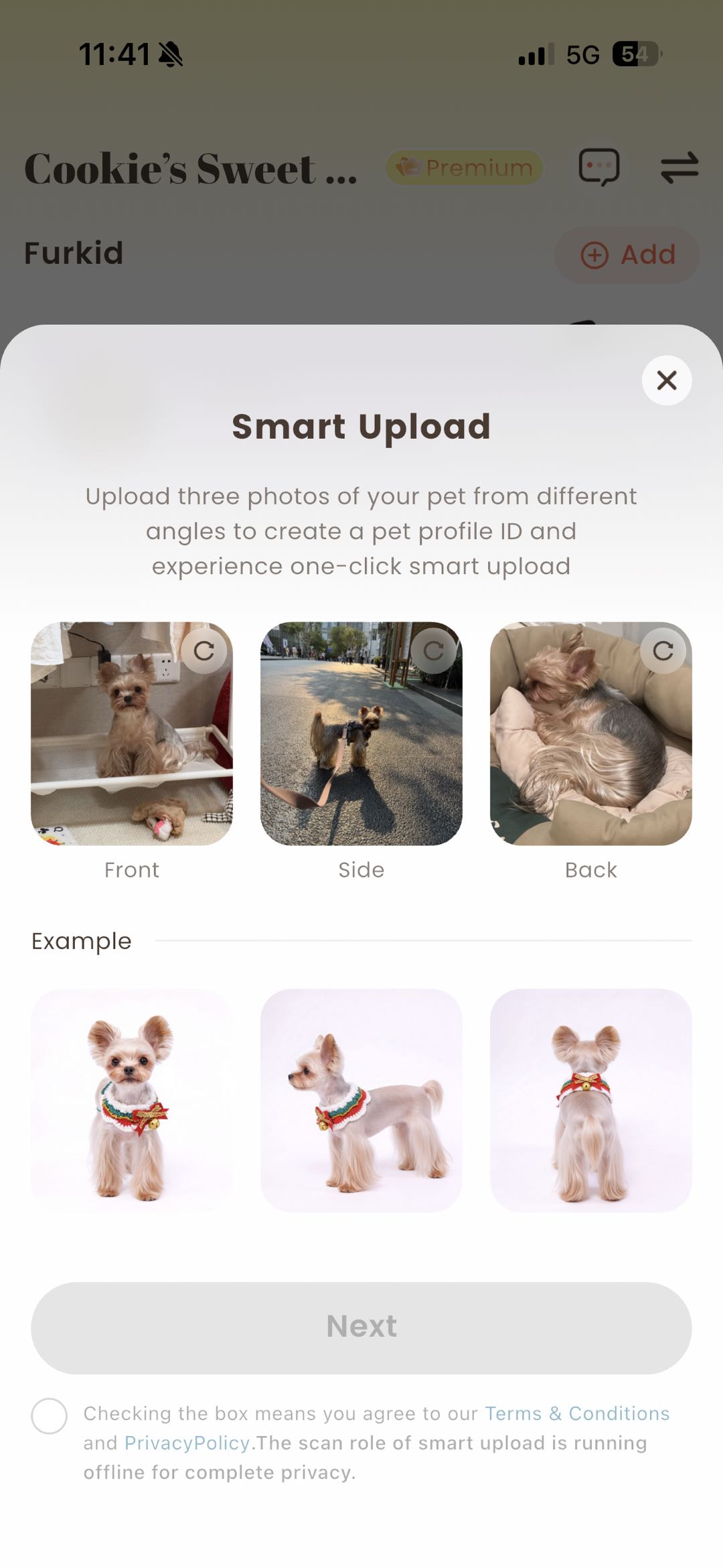 Smart Upload pet profile setup screen