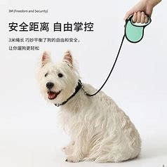 宠物牵引带