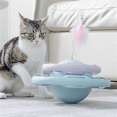 宠物玩具