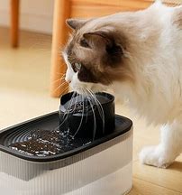 宠物饮水器