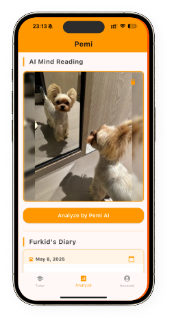 Pemi App Screens